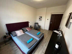 Large 3 bedroom apartment with city skyline view